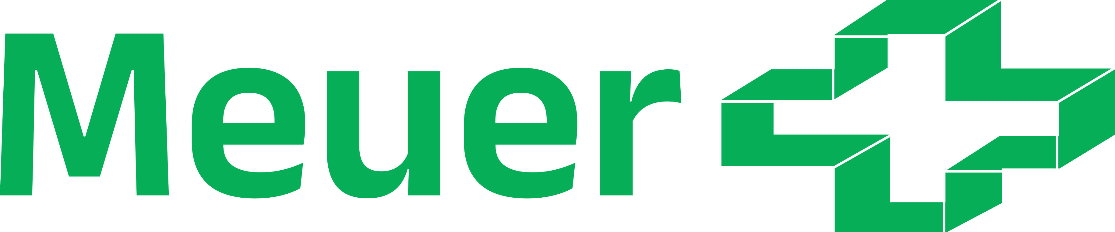 MEUER